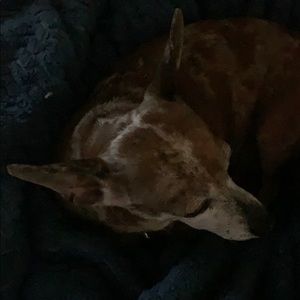 Meet your Posher, Kelly